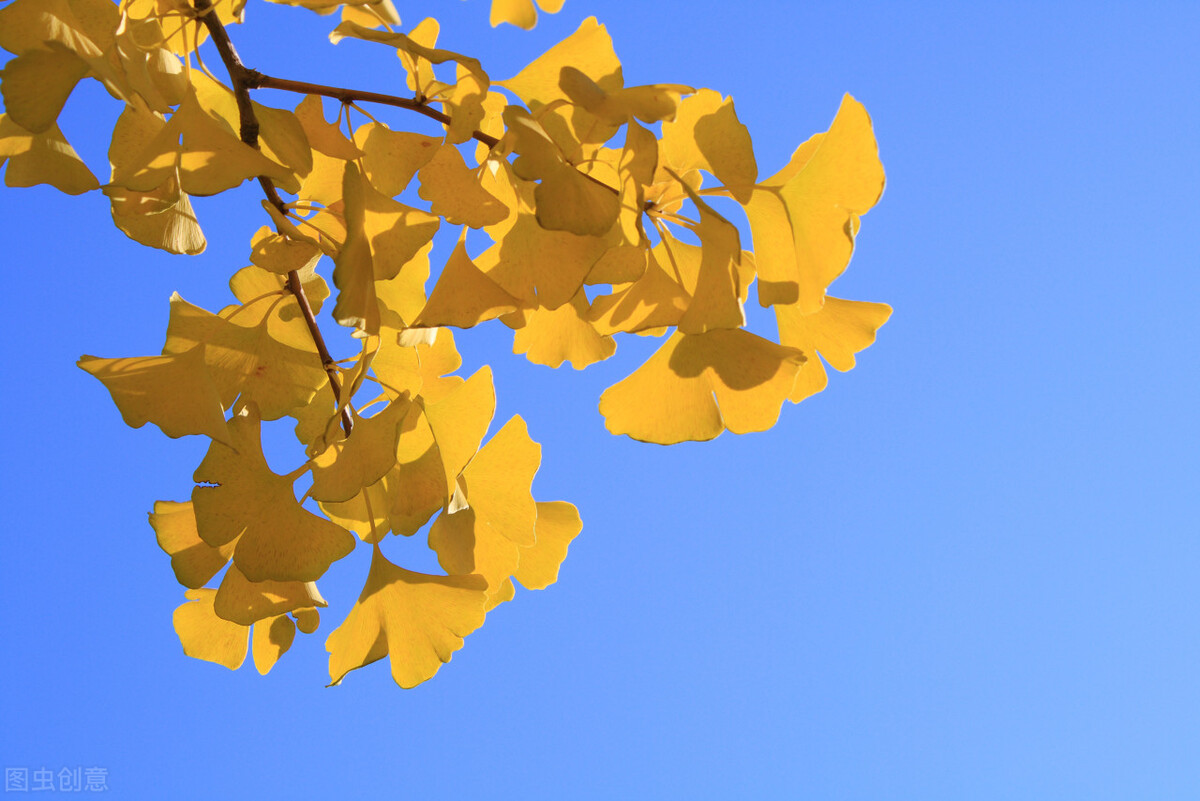 入秋需防温燥养生,入秋保健养生注意事项