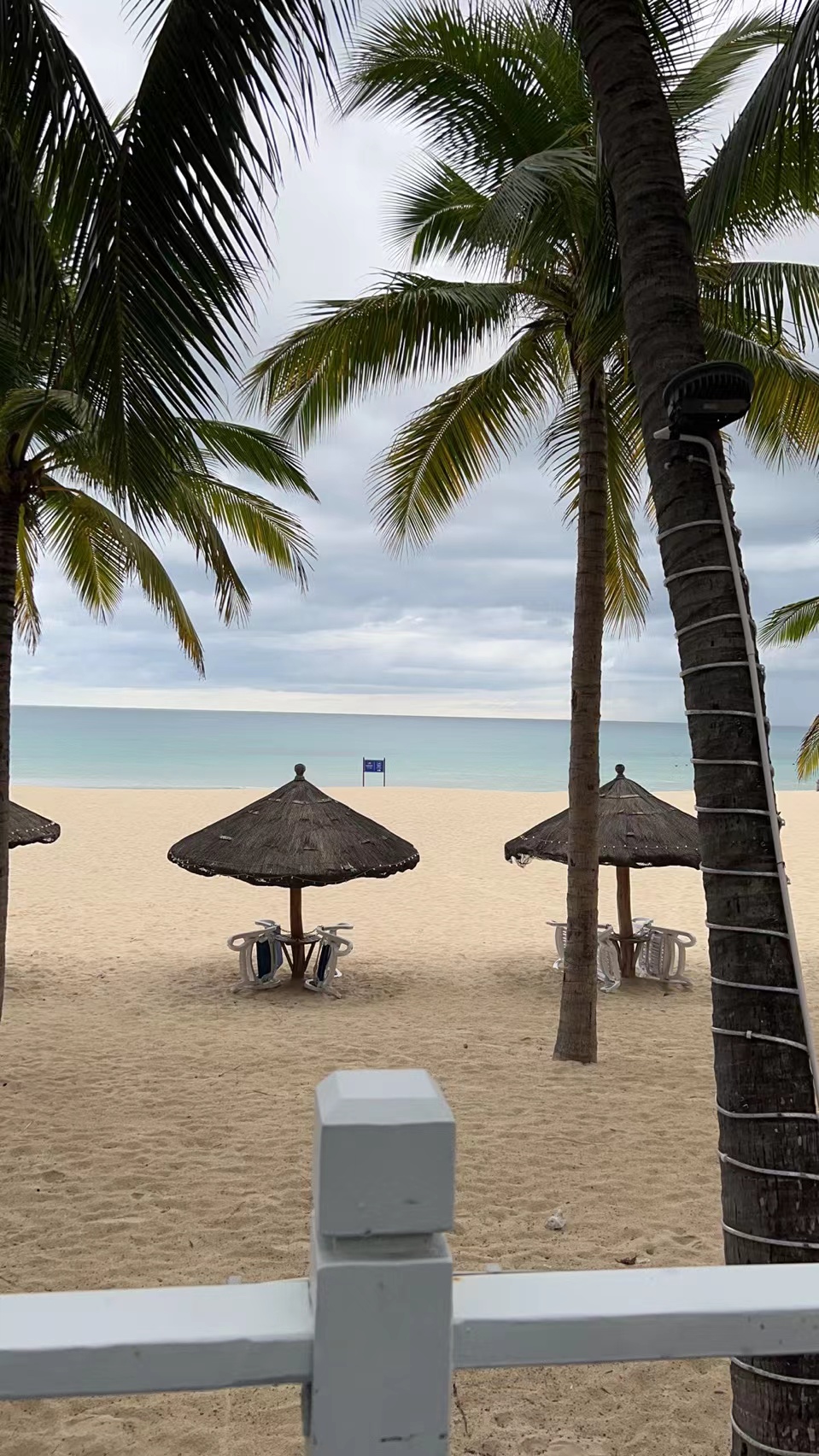 三亚被封游客,三亚被封旅客