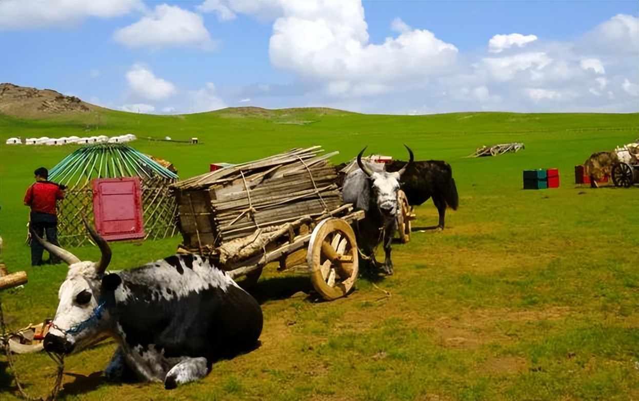 蒙古国什么是最安全的国家,蒙古为何是世界最安全的国家