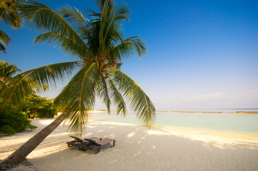 职场里，如果有人想要搞你，怎么都能找到理由，要如何处理