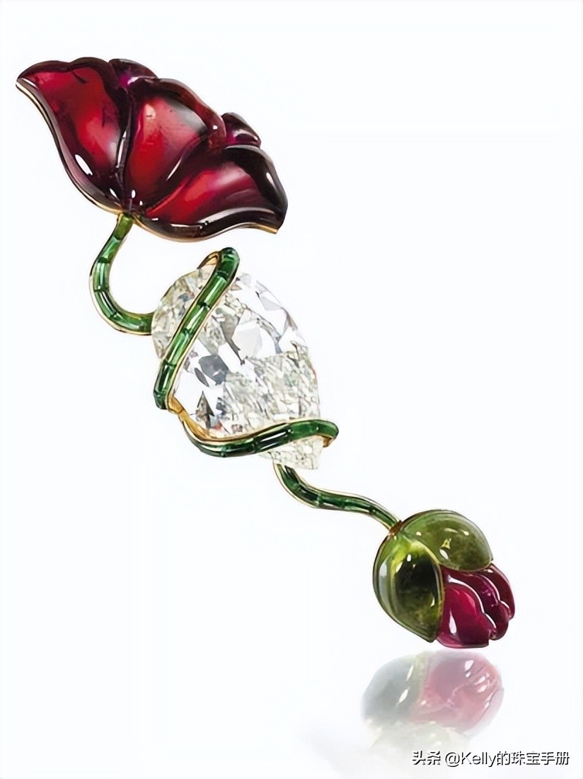 传奇女性系列｜镀金百合：LilySafra巴西女首富的故事