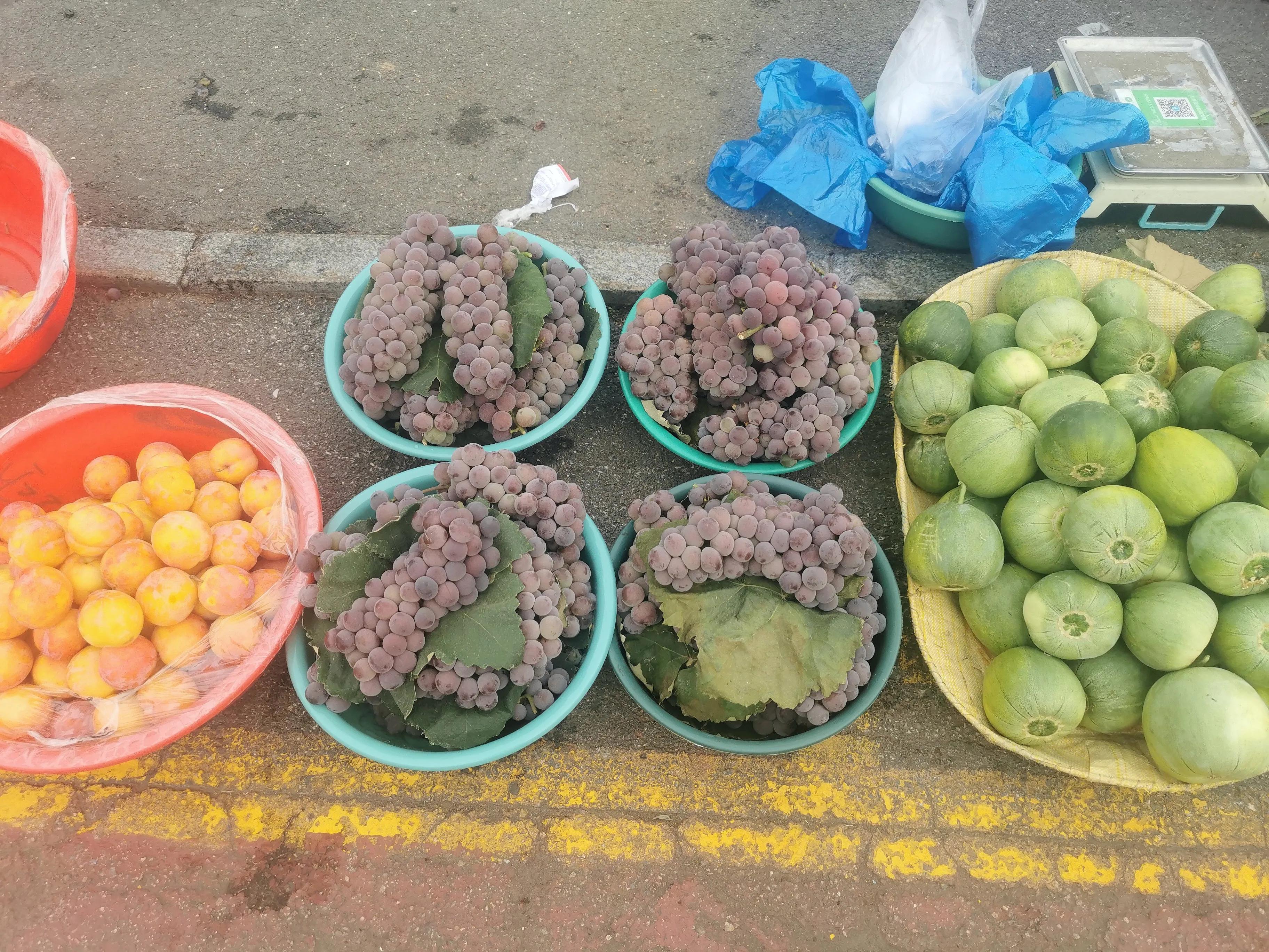 中国申请高句丽世界文化遗产遗址,高句丽历史文化遗址