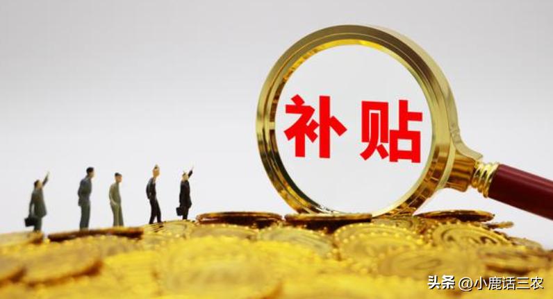 农民有福了农村这3笔补贴到账,农民这几个补贴别忘了领