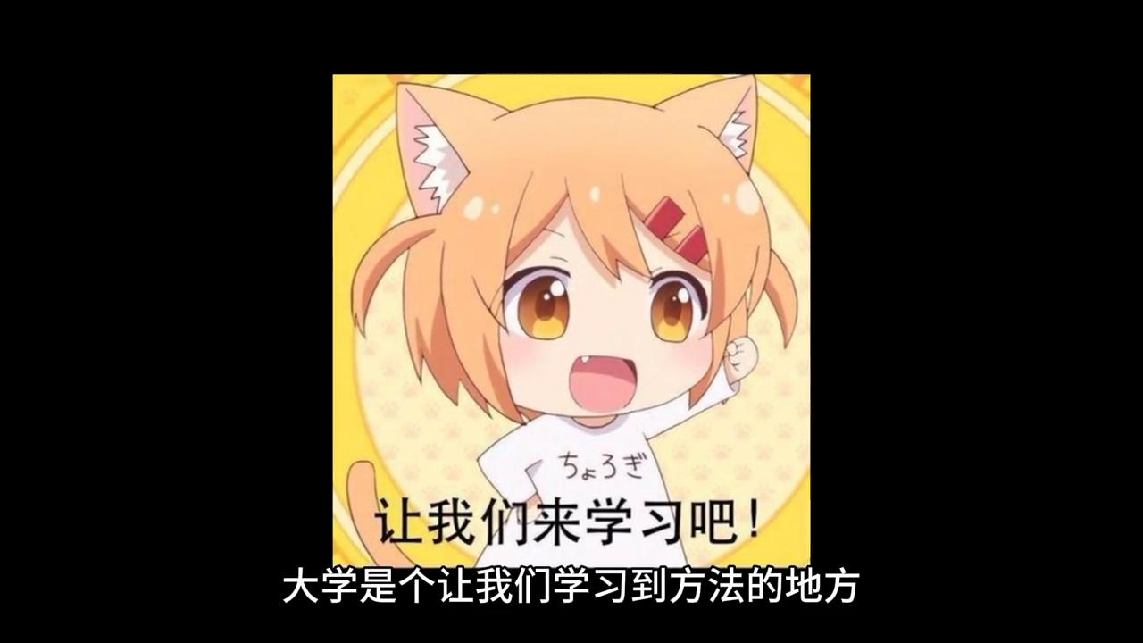 财务管理专业毕业合适就业范围,财务管理毕业后的出路