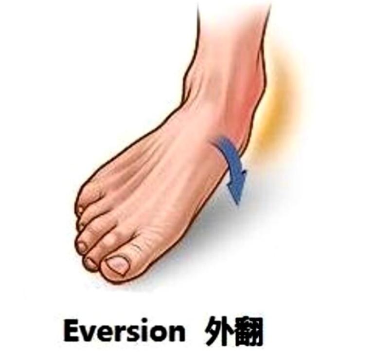 踝关节韧带损伤病历模板,踝关节外侧韧带损伤发病原因