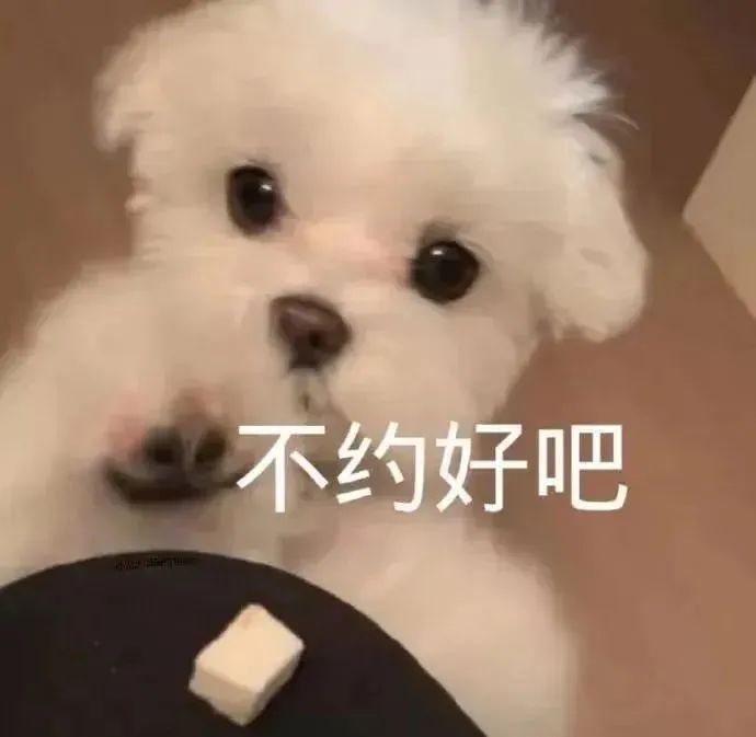 笑死！狗子天天往家里带狼，大叔从害怕到麻木，到最后来者是客