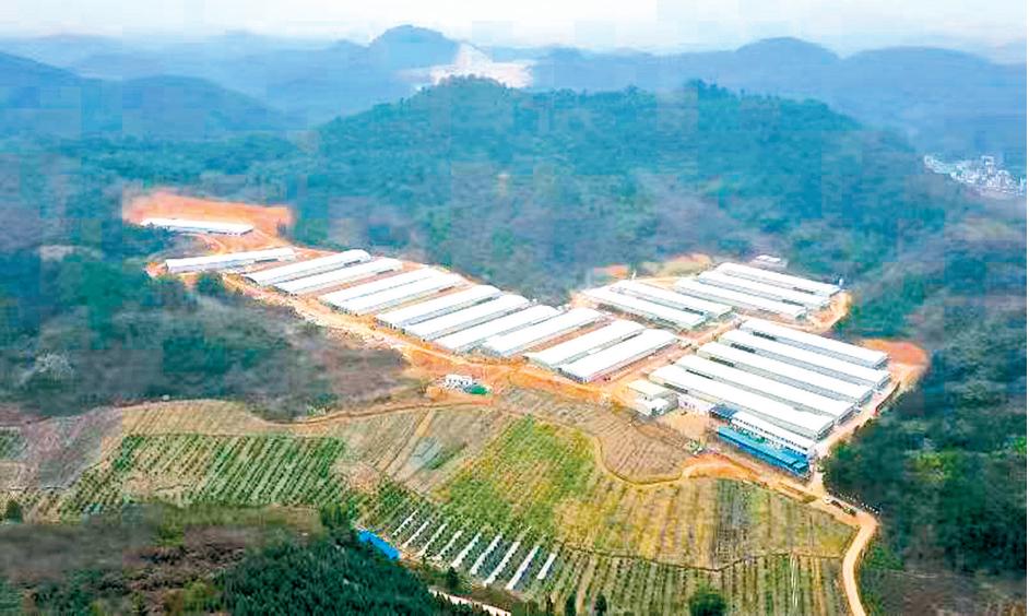 广东郁南县2021投资项目,2022郁南县最大投资项目