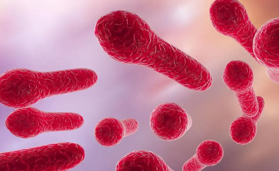 小伤口特别疼要怎么办,小伤口别大意