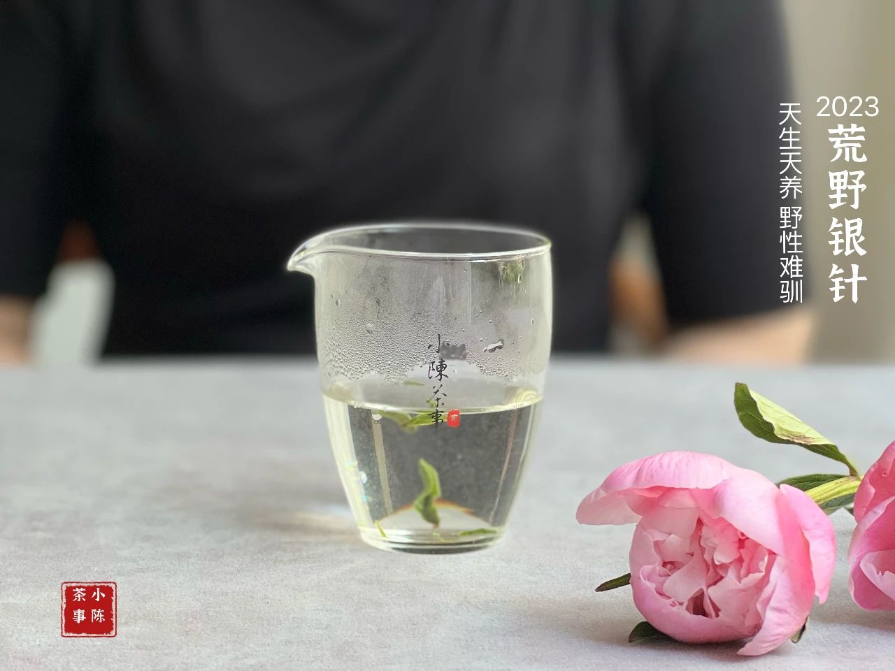 白茶白毫银针与白牡丹哪个好,白茶是买白毫银针还是寿眉牡丹王