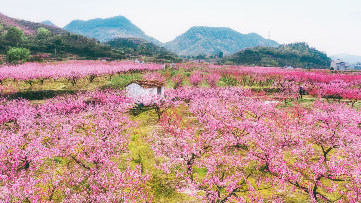 不明原发灶需要做基因检测么,癌症基因溯源查找原发灶