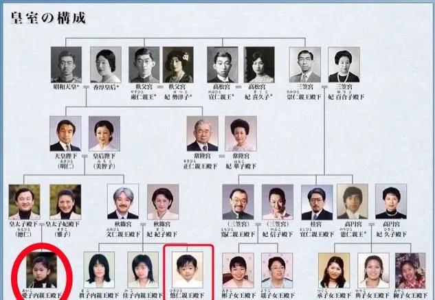 爱子公主被霸凌,爱子公主被校园霸凌