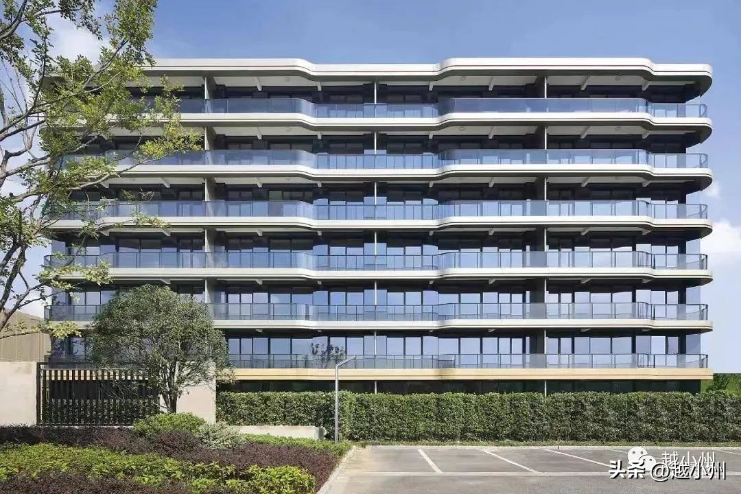 小洲地产,爆味小地锅餐饮界当红炸子鸡