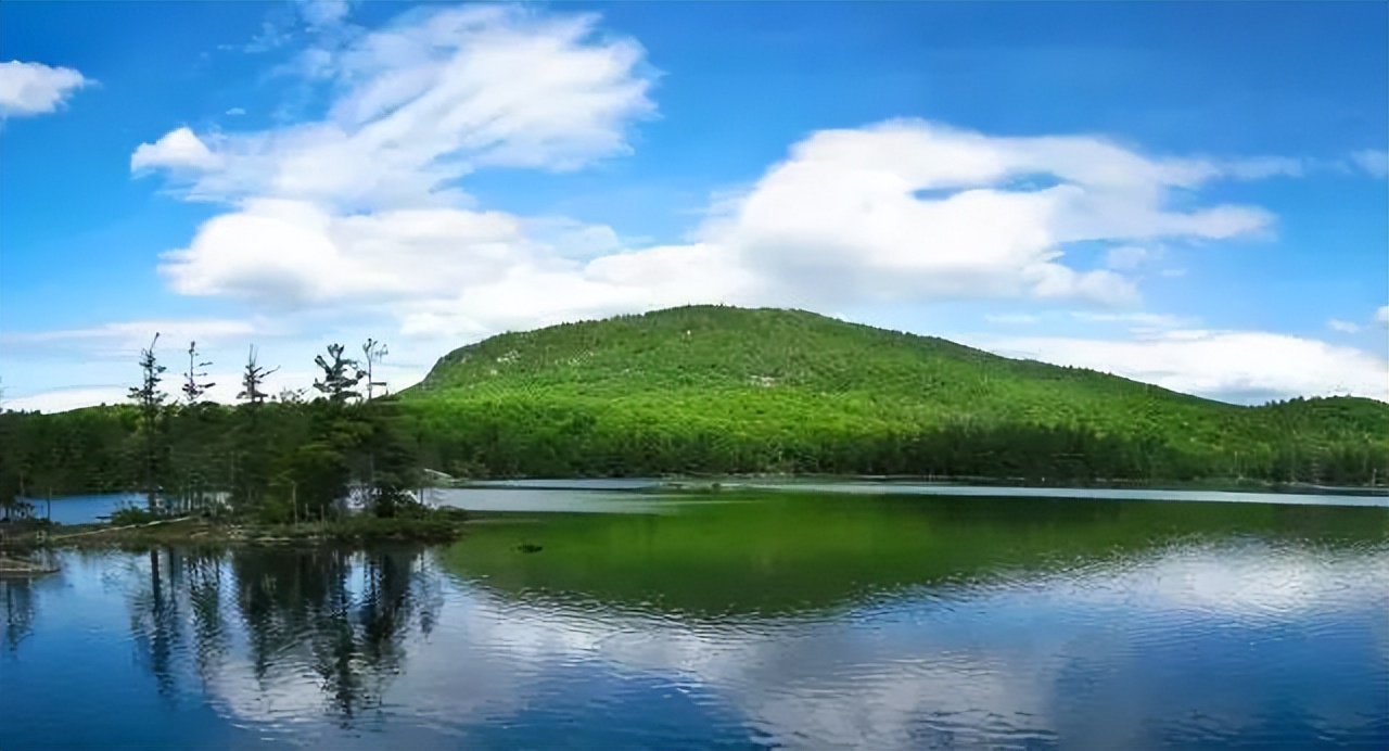 马云如果不卸任会怎样,马云卸任后的目标