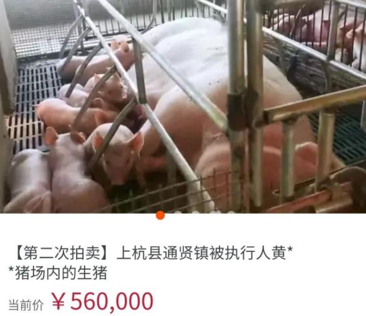 新手玩闲鱼千万别把闲鱼想得太难,如何在闲鱼正确的捡漏