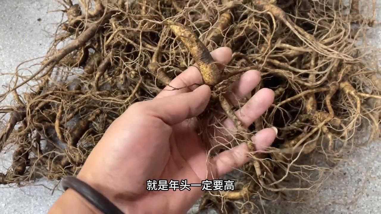 林下参鲜参食用方法,二十年林下参怎么吃最好