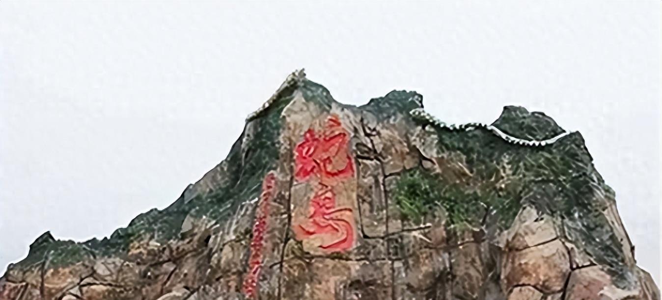 蛇岛生态链惊现老鼠吃蛇,2万条蛇成口粮引关注