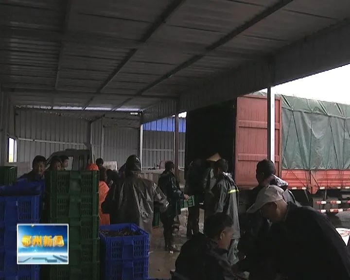 鄂州泽林镇新闻,鄂州泽林镇最新规划