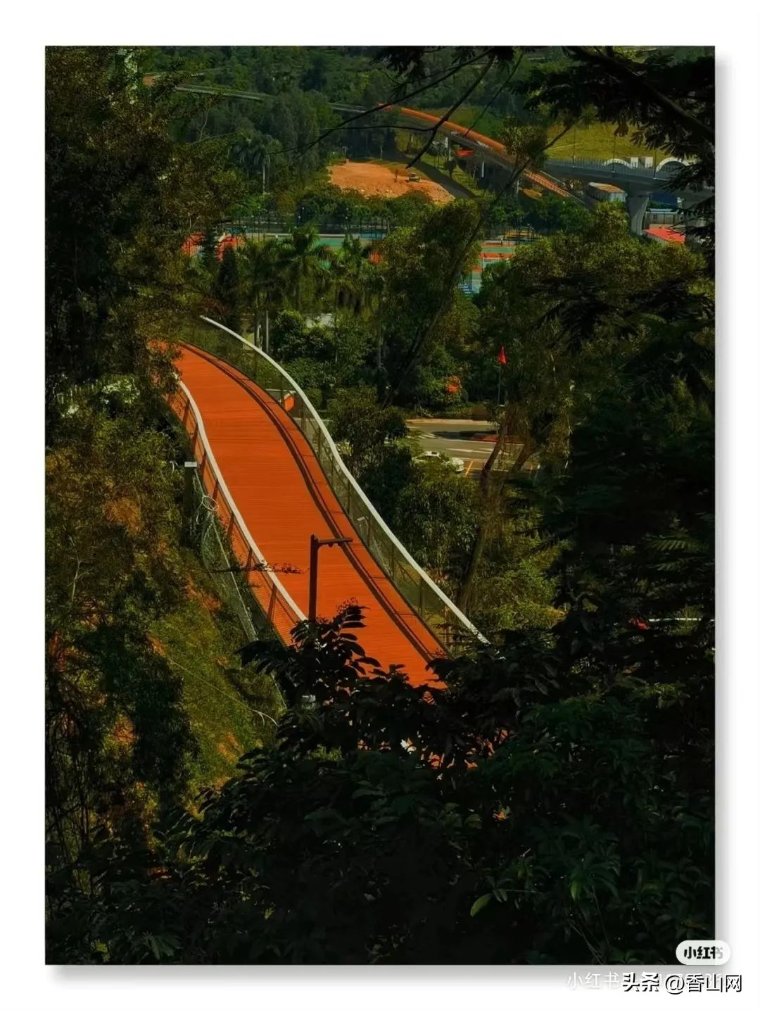 珠海香山湖公园云山栈道一游,珠海香山云道风景太美了