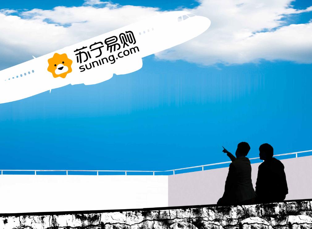 苏宁易购物流配送模式探析,苏宁易购的物流配送模式