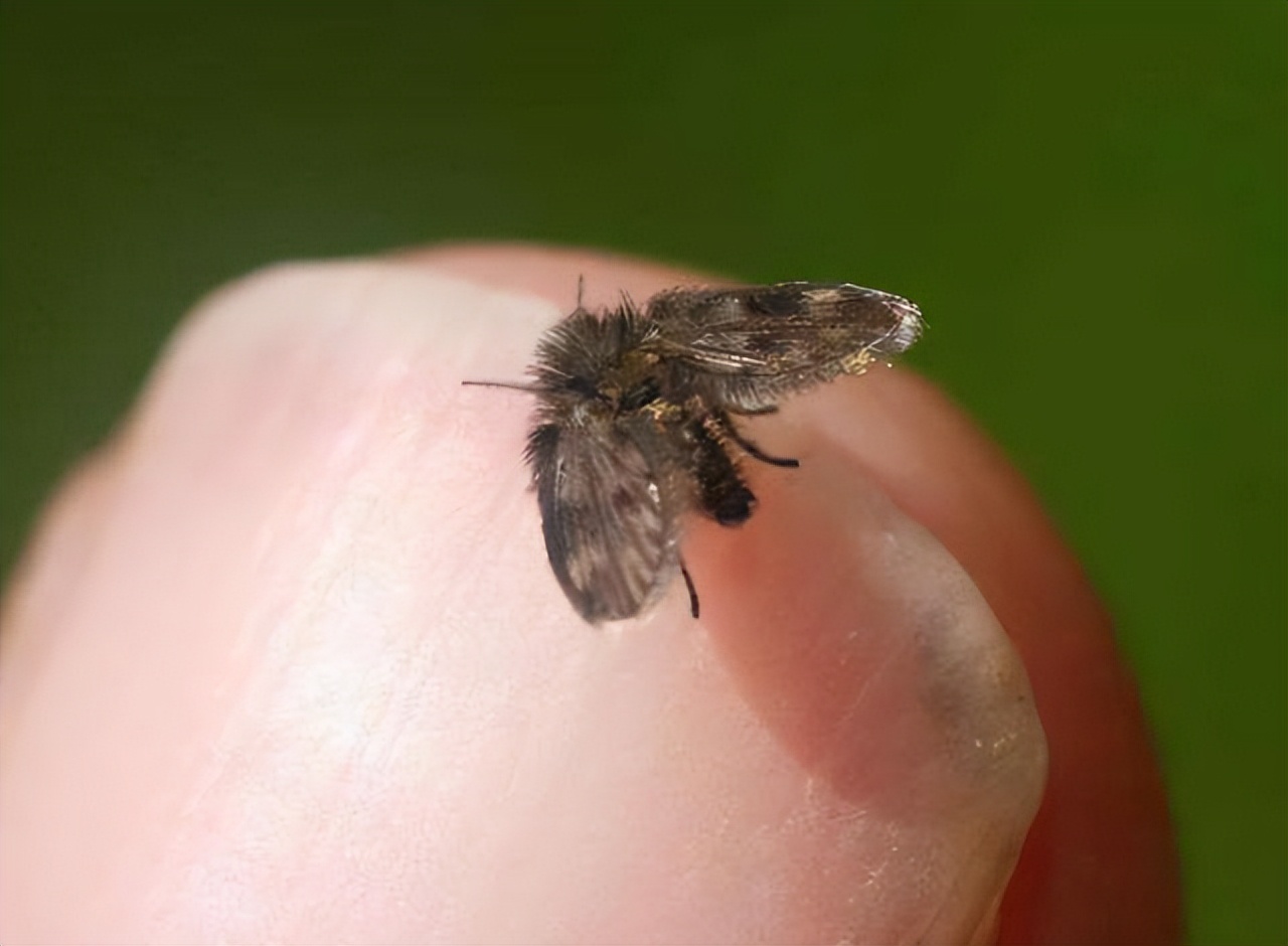 老人脸上出现疤痕发痒怎么回事,老人脸上长黑结痂痒怎么治