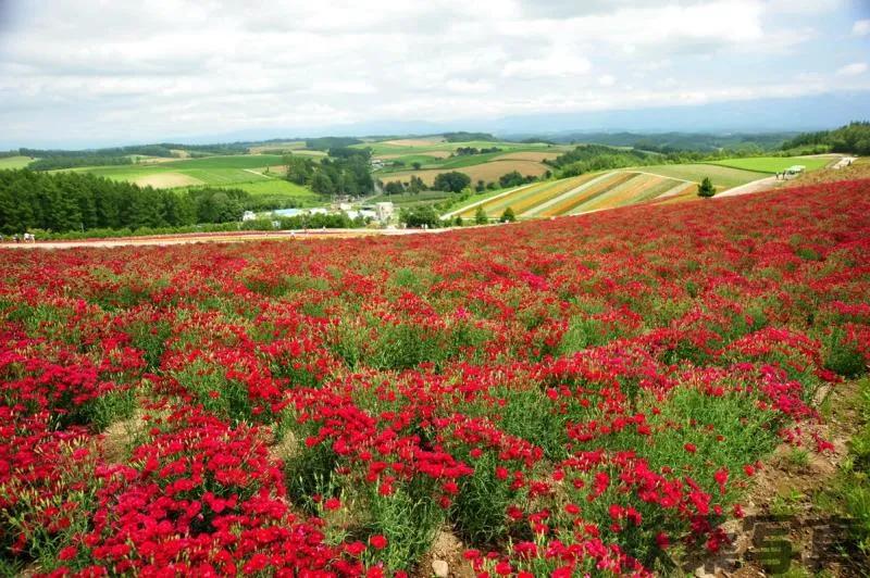 【话说日本景点的“门票价格”】