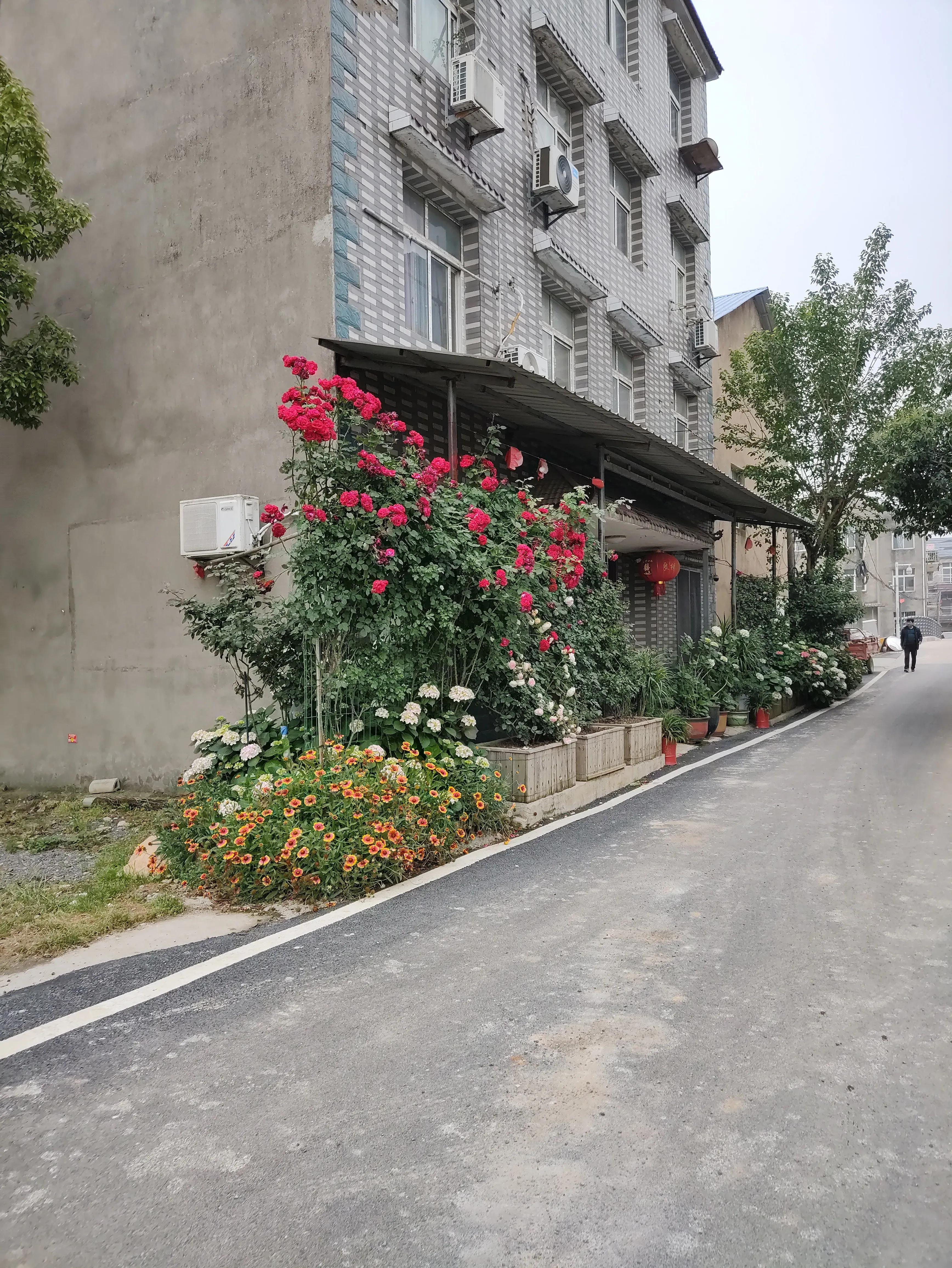 东方威尼斯江汉平原,东方威尼斯不要门票的欧洲小镇