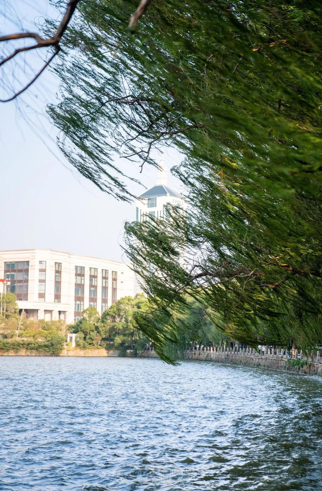 辣到落泪也舍不得停嘴的宝藏城市，不是长沙成都重庆