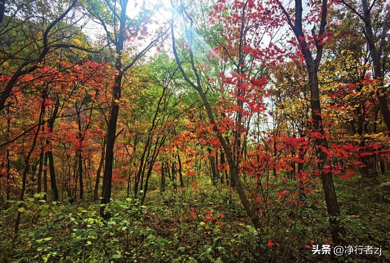 图们江口岸游记,从图们市到牡丹江自驾游