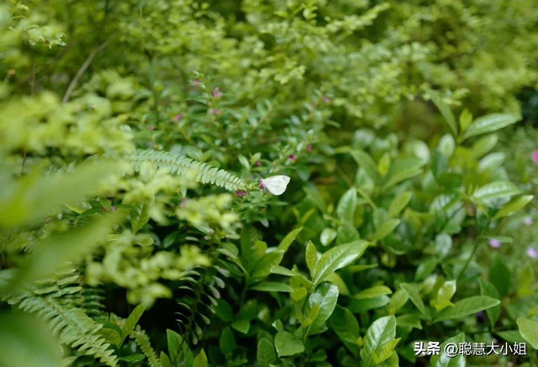 去这条充满松弛感的“小马路”，慵懒地溜达一天才是正经事