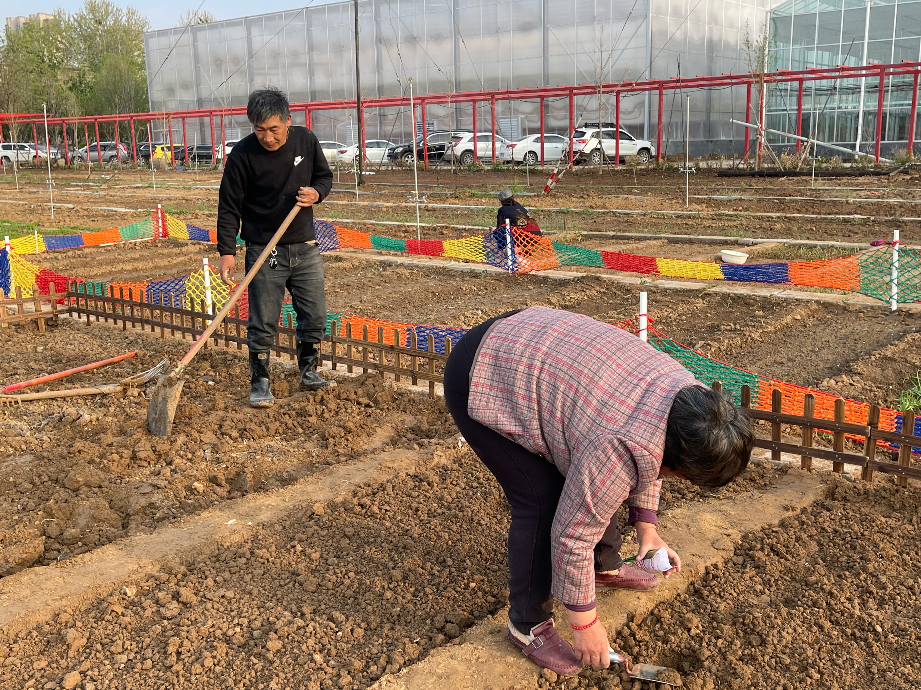 赏花、购花、娱乐，市民自家的小菜园，玉合赢花园中心挺棒