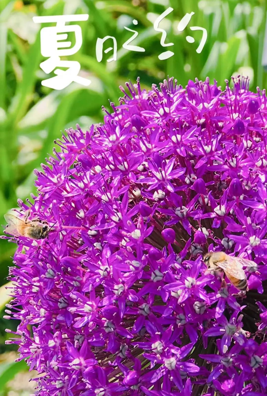 海淀旅游必去十大景点推荐,海淀区旅游免费景点推荐