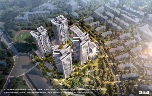 深圳国际教育留学,深圳国际教育