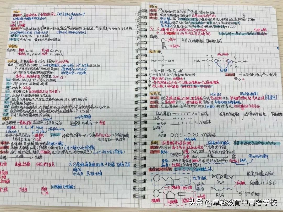 这些高考生的笔记太卷了！脉络清晰的笔记，让学习更游刃有余
