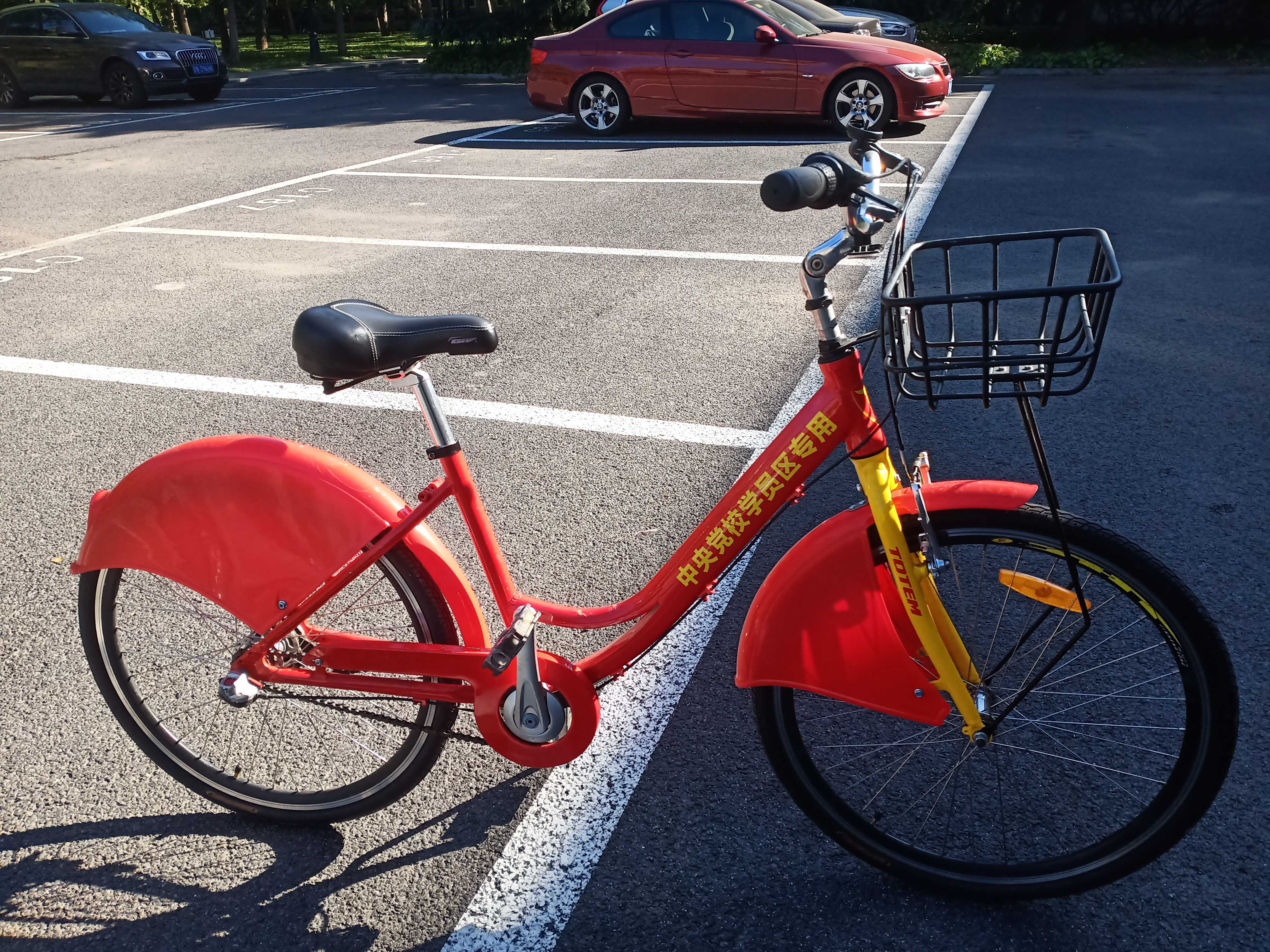 人在画中游图片,人在画中游视频大全