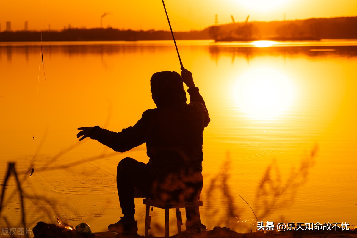 杂文系列八十八：“你考虑了鱼的感受？”