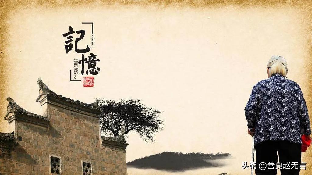 沙参开花了可以吃,沙参和沙参花