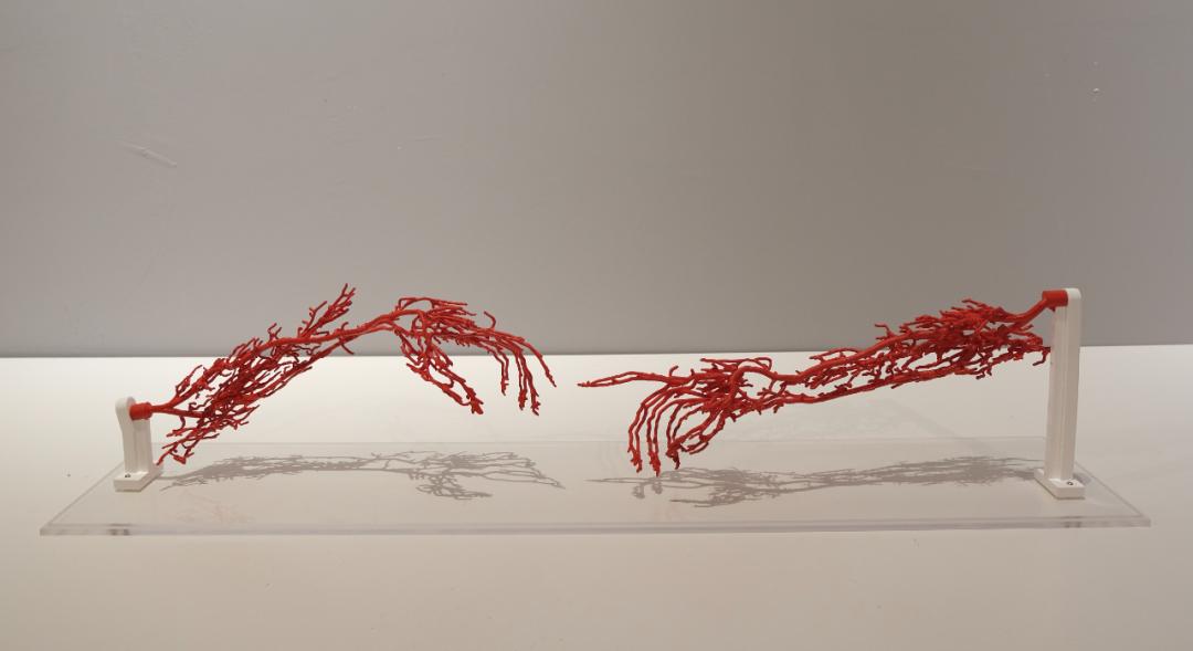 园区动态|“从洛桑到北京”国际纤维艺术上海松江特展成功开幕