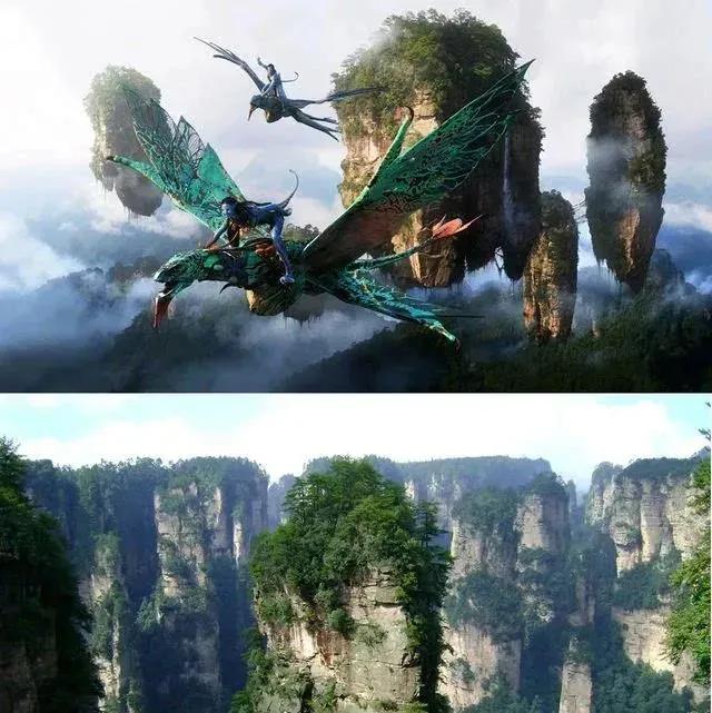 仙境张家界惊艳全世界,张家界的峰林峡谷仙境