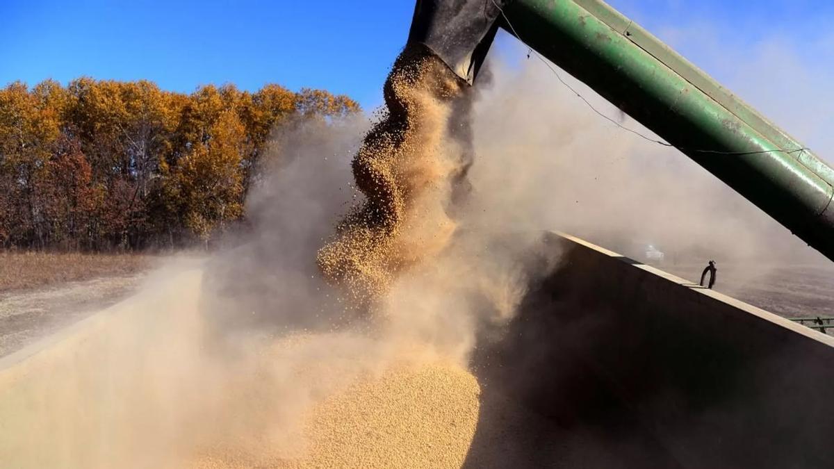 对中国进口大豆普京态度解读,中方专机直飞美国