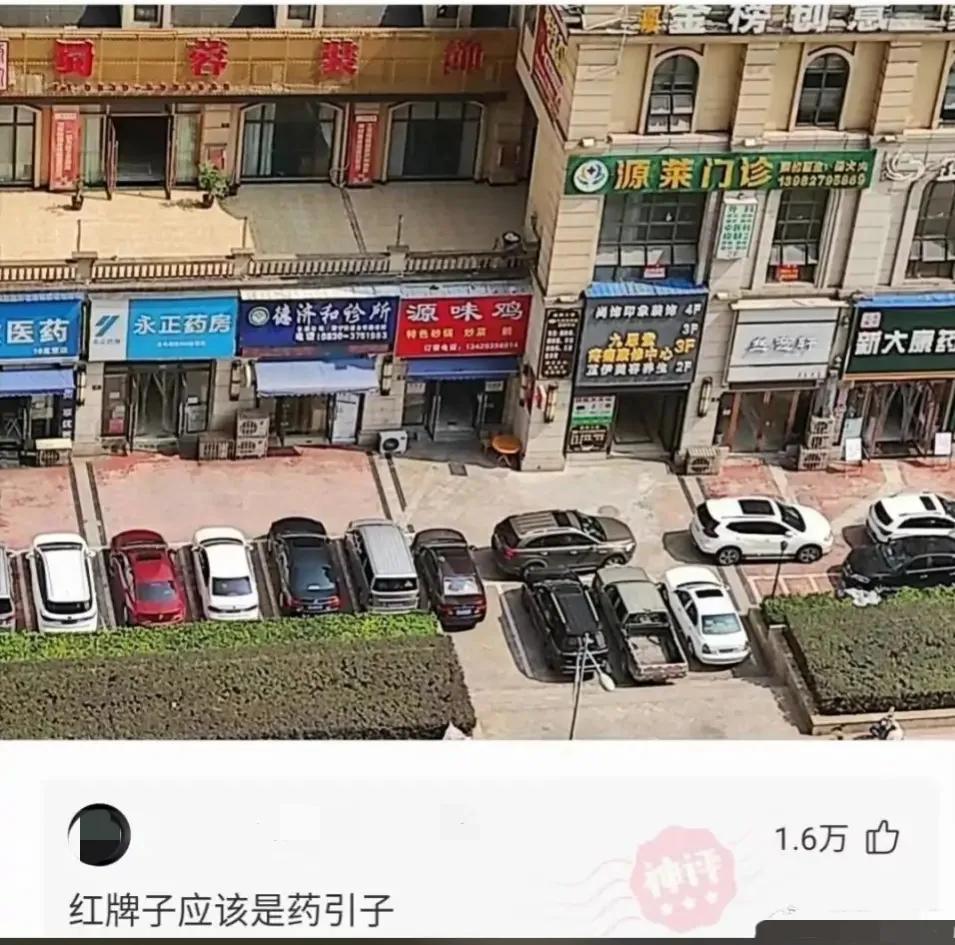 好奇神回复,神回复女生的特点