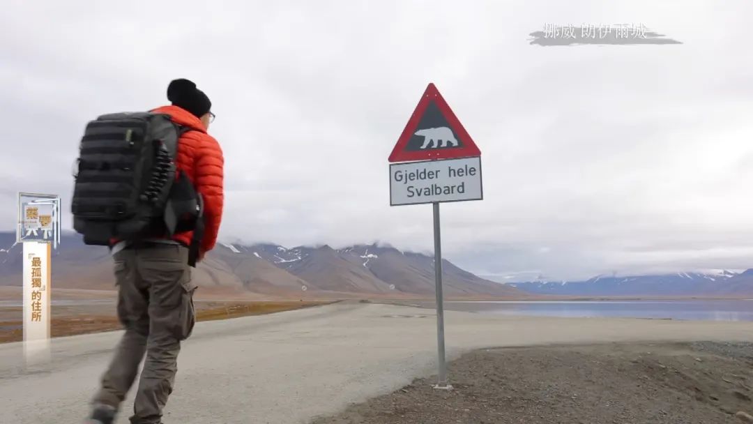 孤岛探秘试玩,孤岛探秘小说