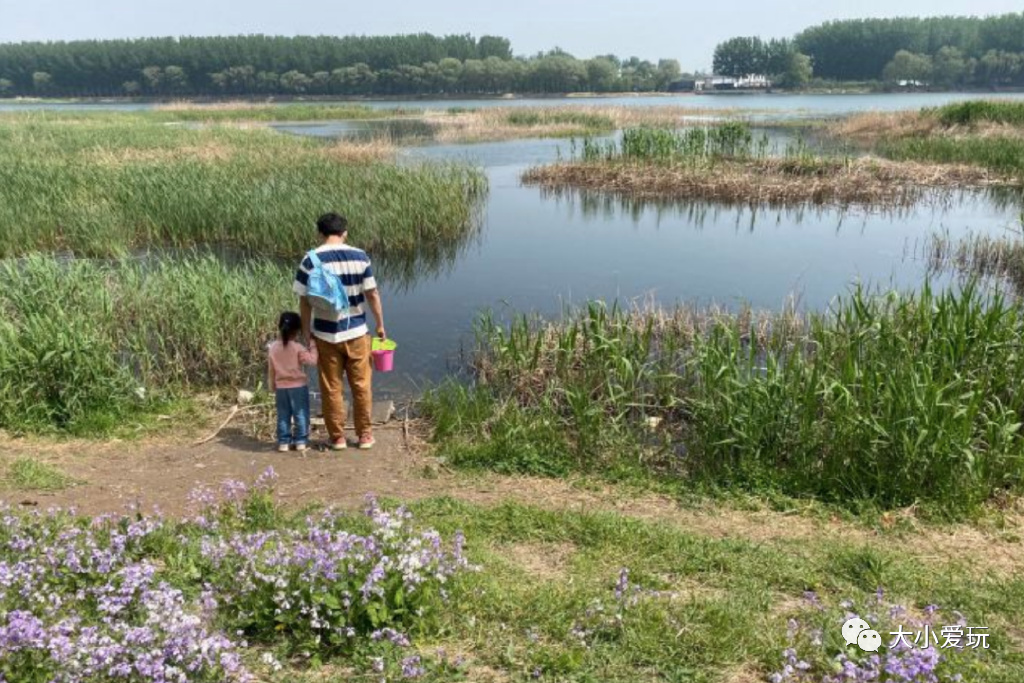 滨河公园带娃玩水,推荐一个好地方滨河公园