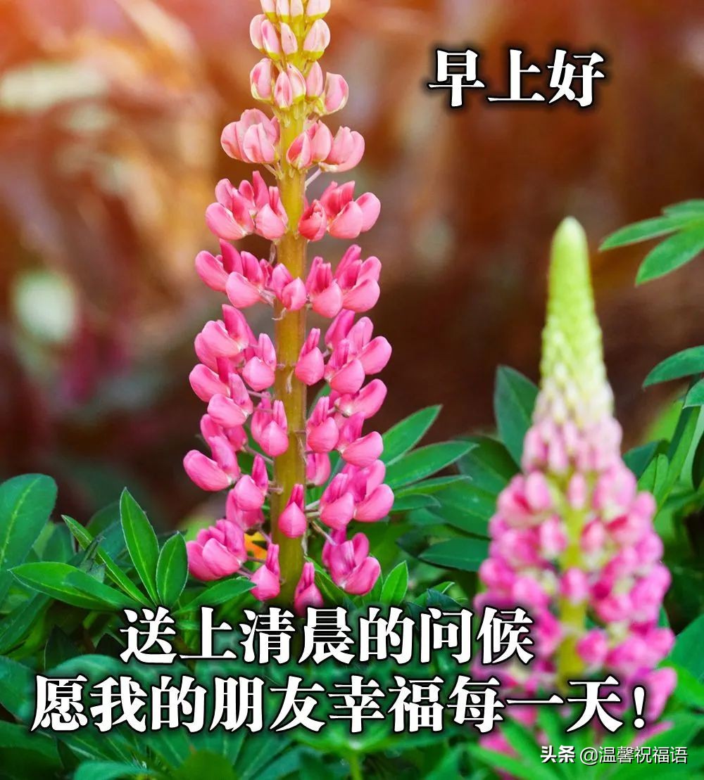 每日超有意思的早安问候图片,早安问候的话带图片