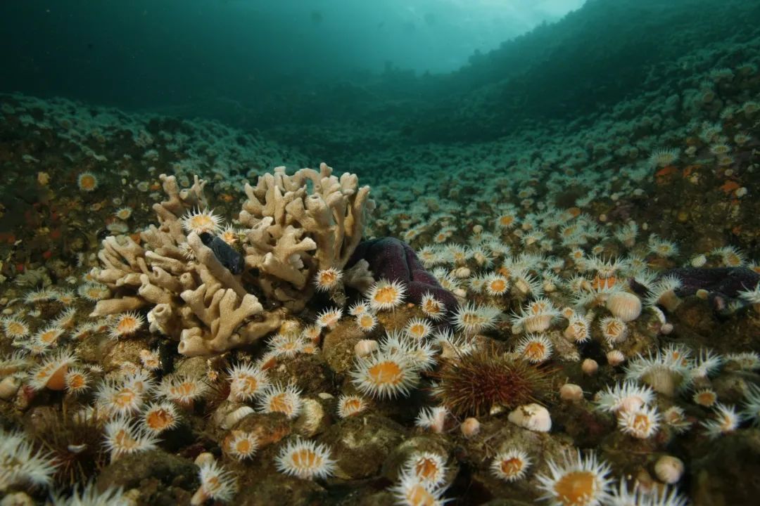 RR · LIFESTYLE | 非凡远见 裨益后世