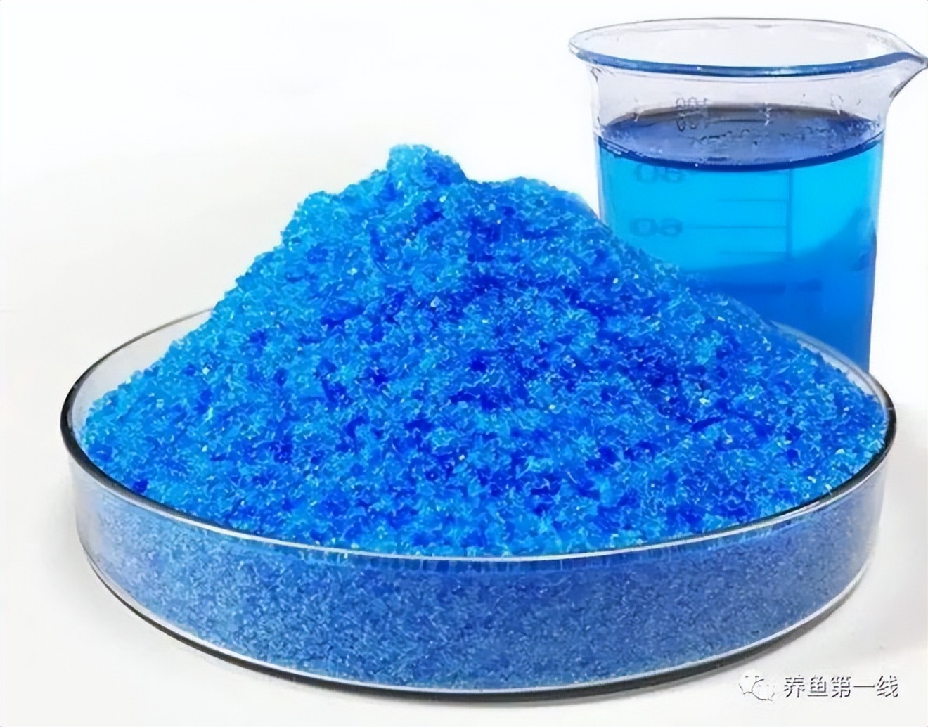 鱼病防治怎样做到精准施药,鱼病防治用什么药