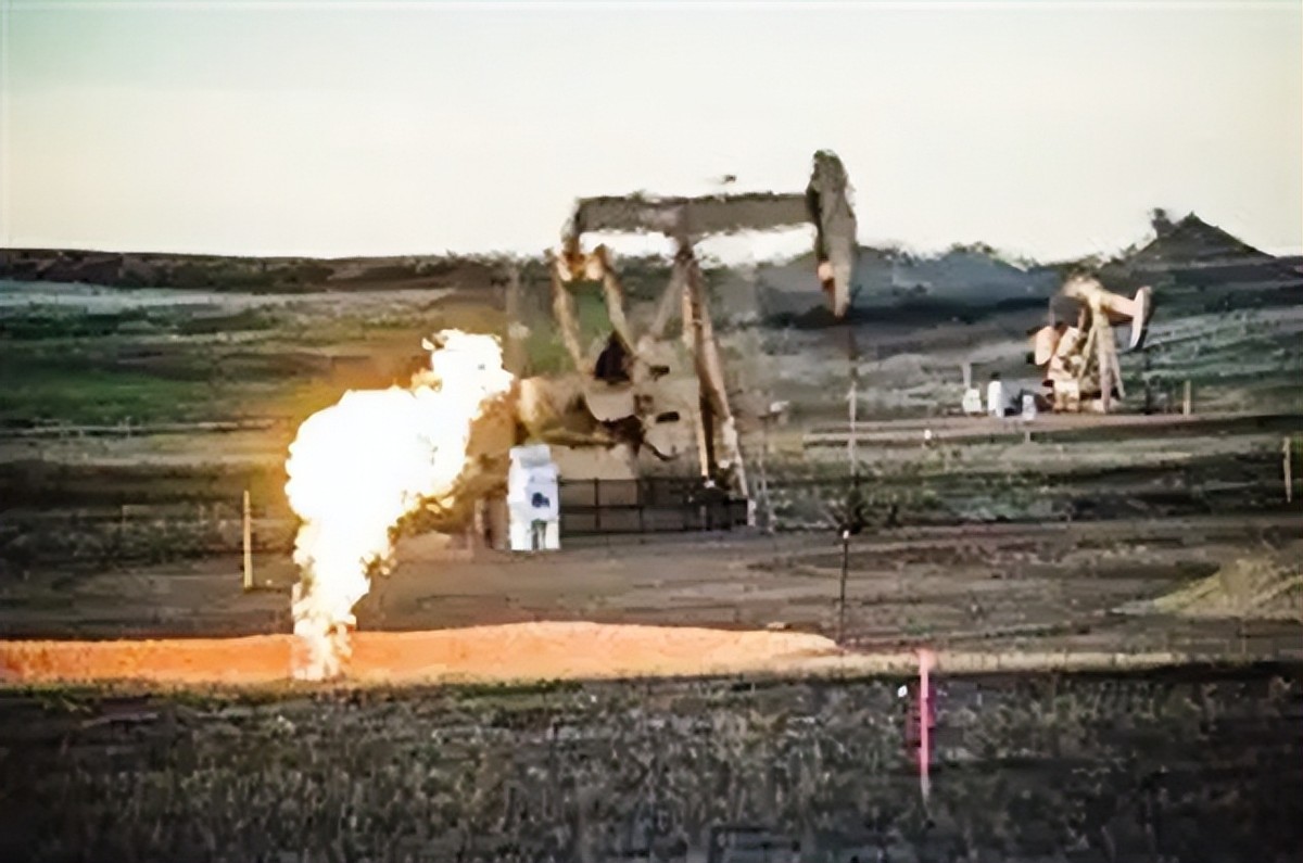 多行不义必自毙2009年,多行不义必自毙事件