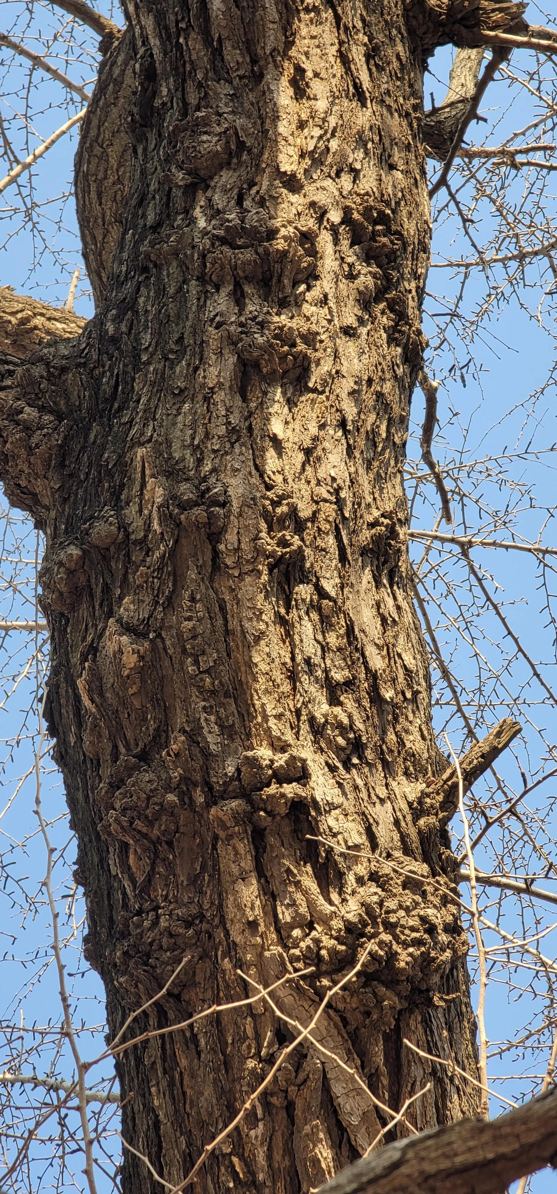 开着沪牌回老家怎么样,开着大巴玩转江浙沪