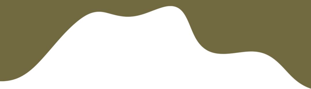 两个家庭的第三次家庭治疗｜研修班“临床案例带教”分享