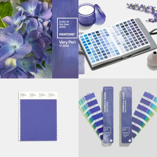 时髦精必备单品,时髦精必入款