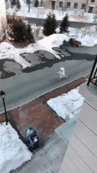 给力的一字马,给力的一字马后续